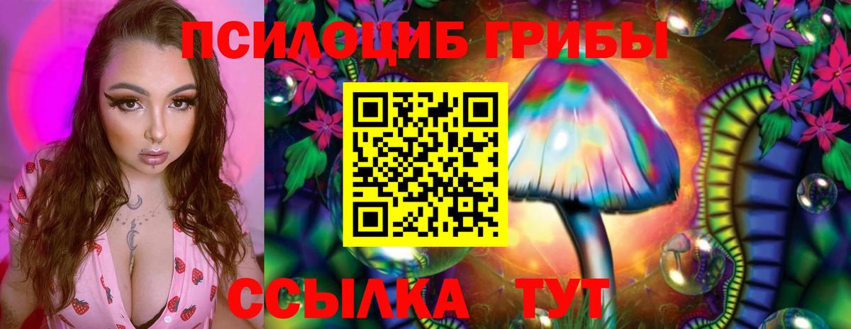 Псилоцибиновые грибы GOLDEN TEACHER Миасс